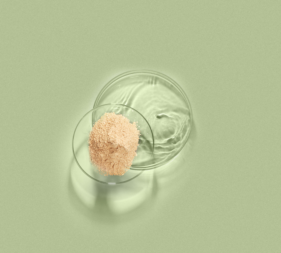 首页- yl永利集团中国区官方网站