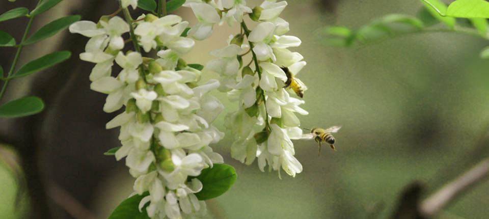 首页- yl永利集团中国区官方网站