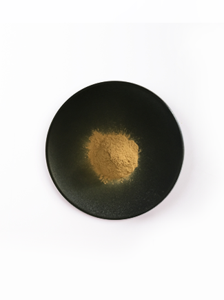 首页- yl永利集团中国区官方网站