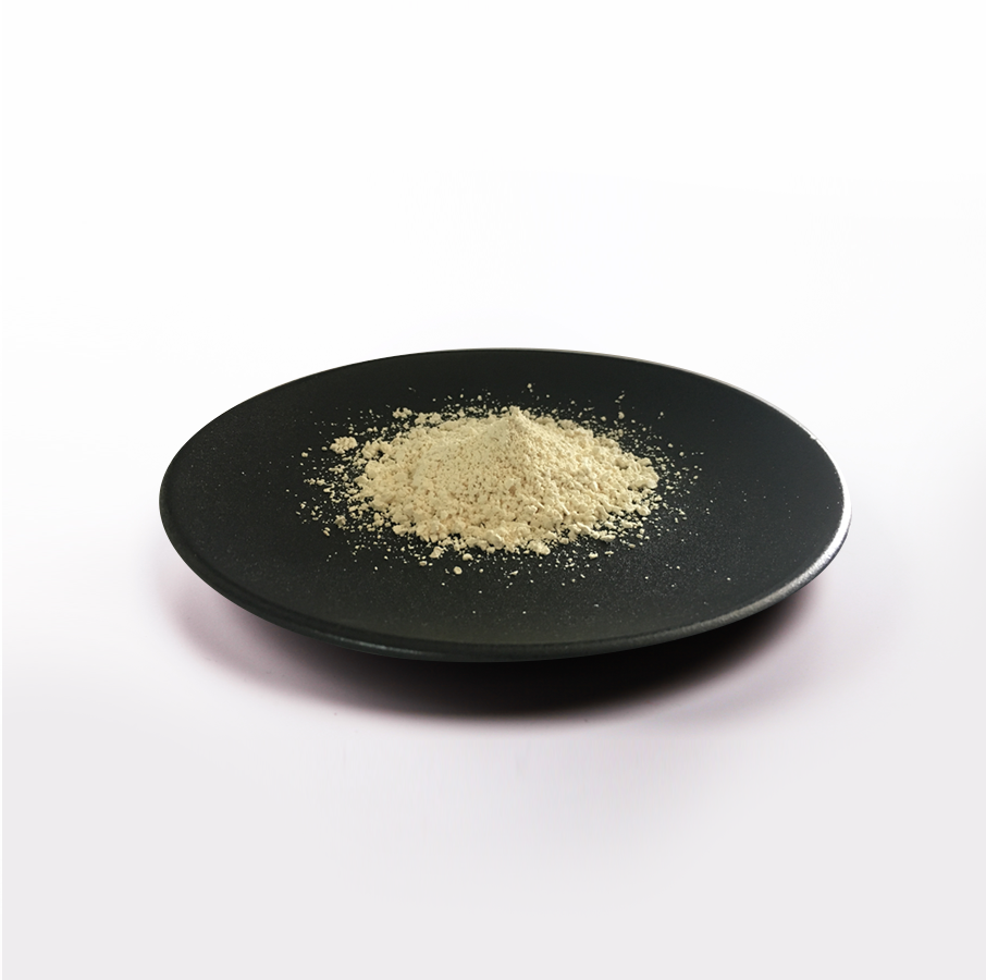 首页- yl永利集团中国区官方网站