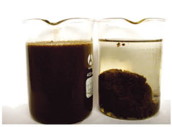 欧亿平台·(中国区)官方网站